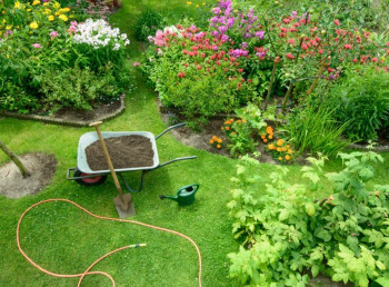 Comment rendre vos voisins jaloux de votre pelouse ?